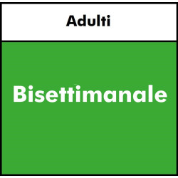 PATTINI IN LINEA  - Adulti BASE BISETTIMANALE