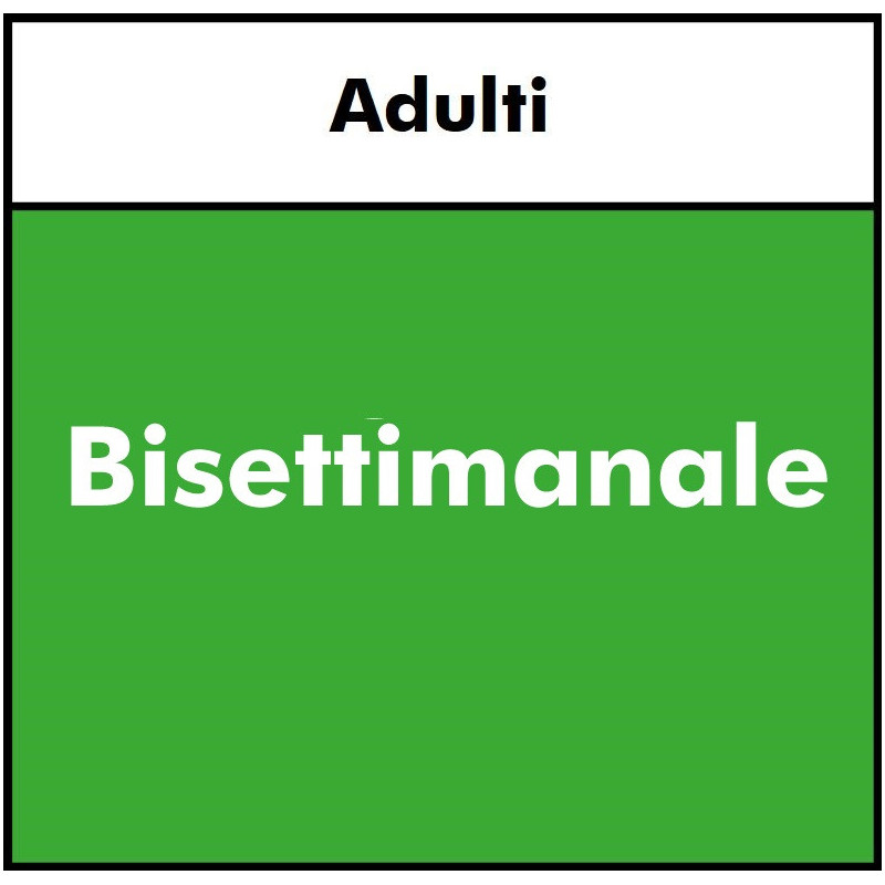 PATTINI IN LINEA  - Adulti BASE BISETTIMANALE